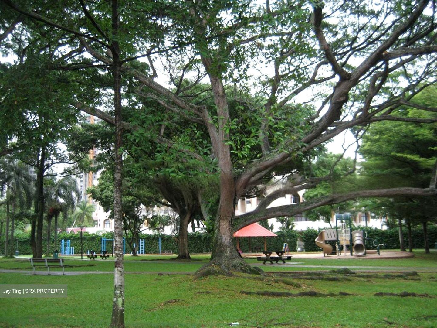 Morley Road (D10), Detached #458526831